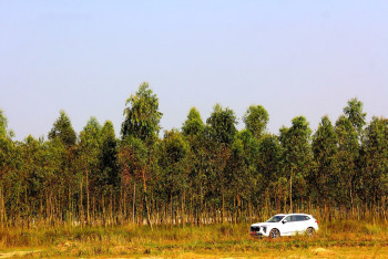 Фотография к новости: Люксовый внедорожник для акимата: власти объяснили закупку