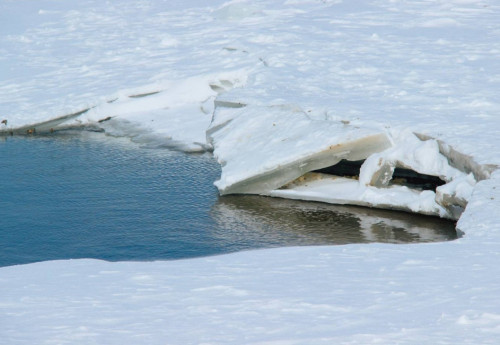 Фотография к новости: Есть ли реальная угроза? Как Павлодарская область готовится к паводкам