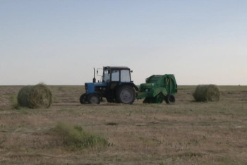 Фотография к новости: Десятки тысяч гектаров вернули в госсобственность в СКО