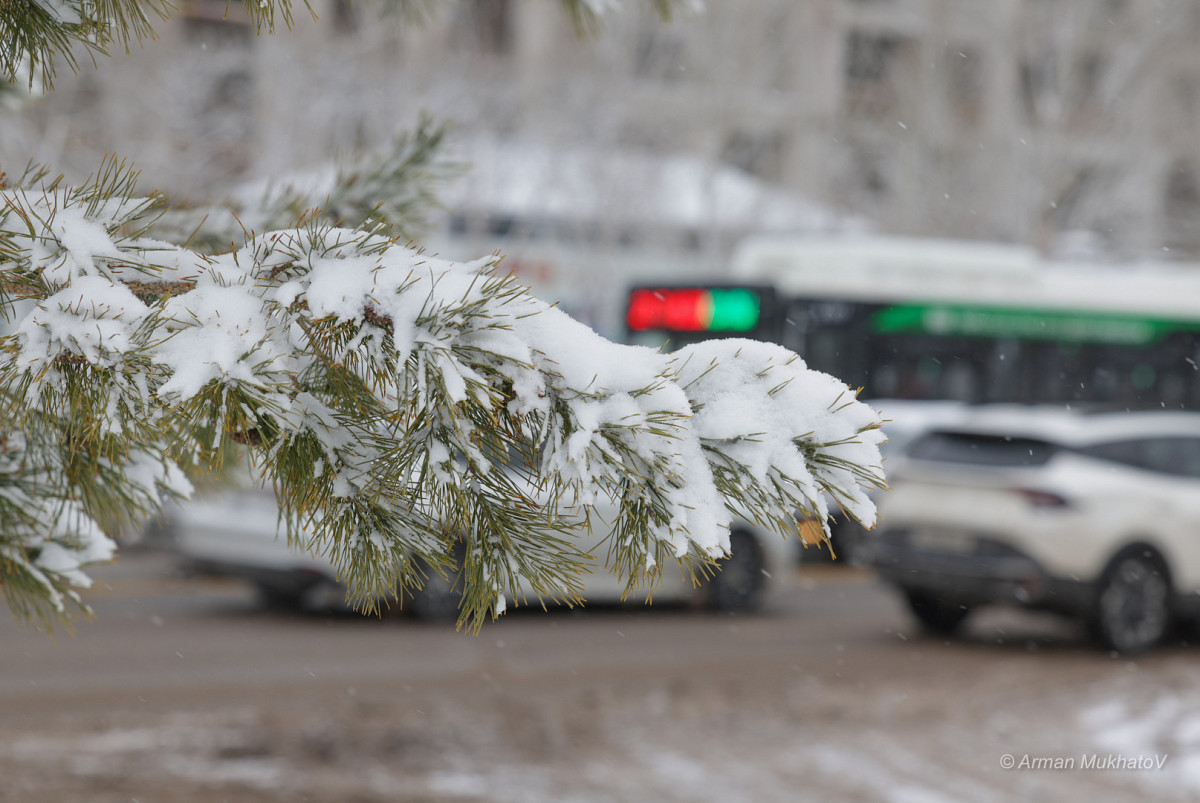  Арман Мухатов/BaigeNews.kz