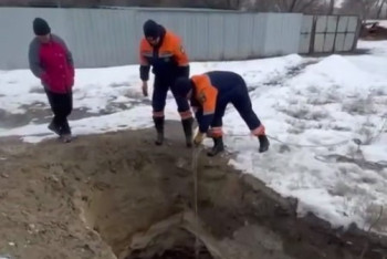 Фотография к новости: Упавшей в яму собаке пришли на помощь спасатели в Жетысу