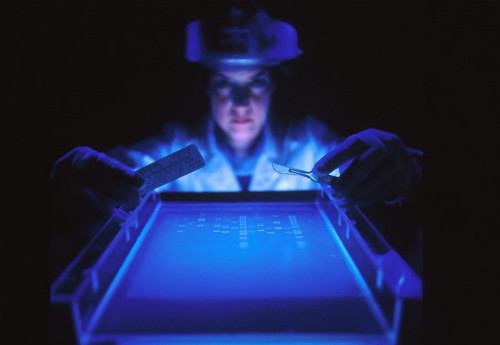 Фотография к новости: ИИ начали использовать для ранней диагностики рака