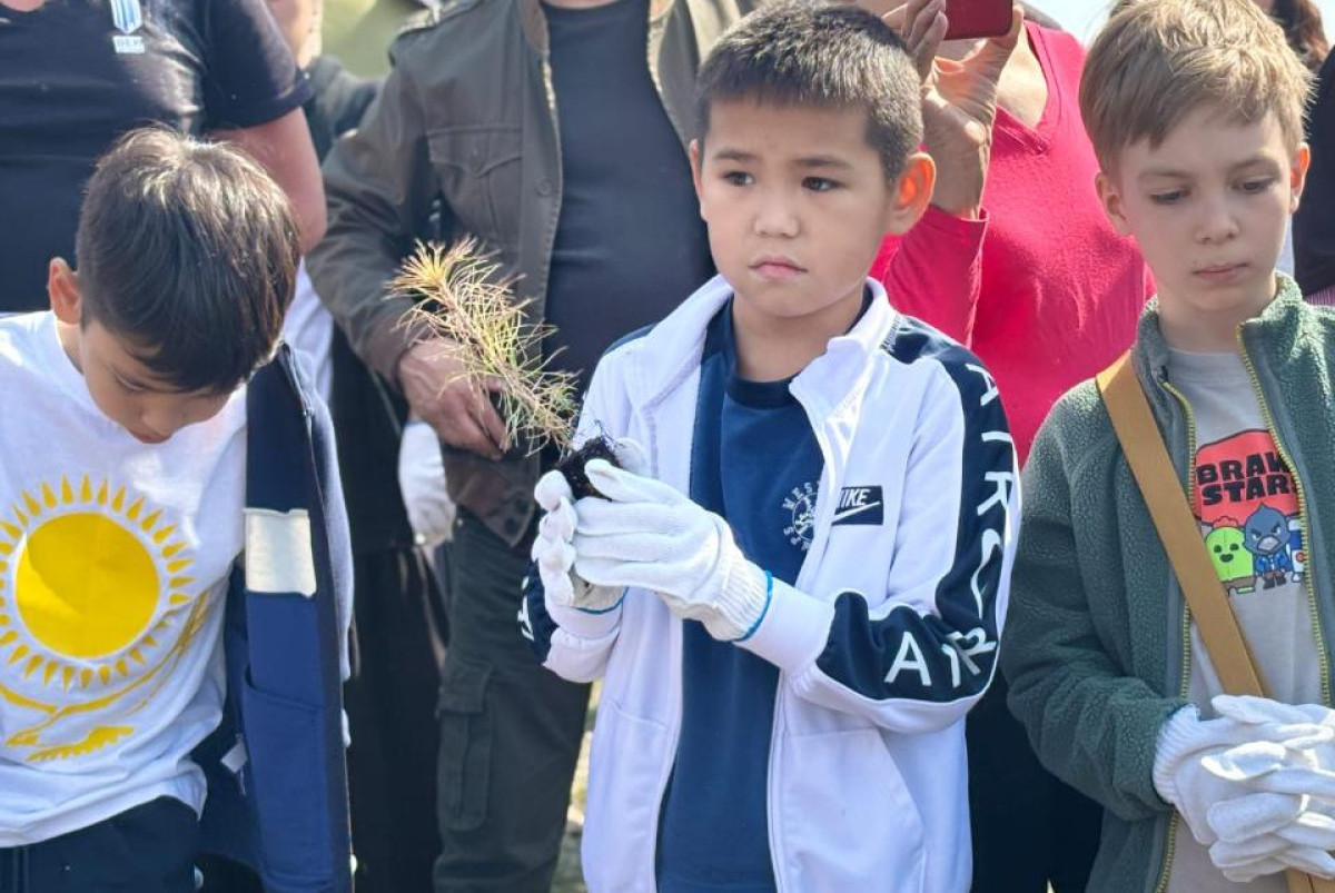  акимат Алмматинской области