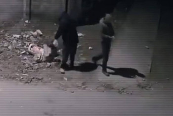 Фотография к новости: Видеокамеры помогают следить за экологической ситуацией в Казахстане