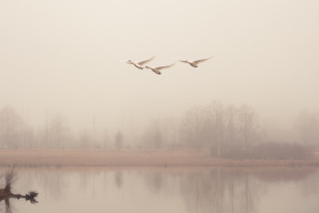 Фотография к новости: Туман и осадки: на большей части Казахстана объявлено штормовое предупреждение