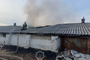 Фотография к новости: Лошади и овцы едва не сгорели в частном подворье села в СКО