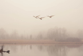 Фотография к новости: Штормовое предупреждение из-за тумана и ветра объявлено на большей части Казахстана