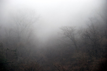 Фотография к новости: Переливы и сильный ветер: в Казахстане резко испортится погода