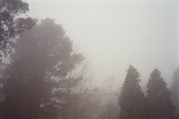 Фотография к новости: Природные опасности в Казахстане: сильный дождь, град и снег с порывистым ветром