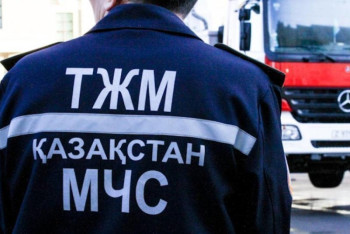 Фотография к новости: Пожар на территории "Семей орманы": в тушении задействованы более 200 человек