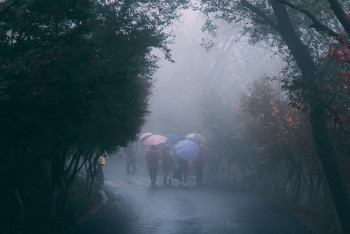 Фотография к новости: Сильные дожди и туманы прогнозируют в Казахстане в выходные
