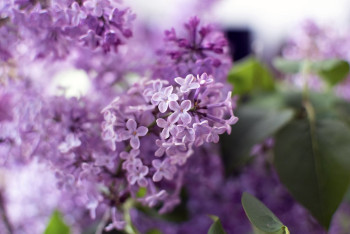 Фотография к новости: Казахстанцы отдохнут 12 дней в мае: когда будут длинные выходные?