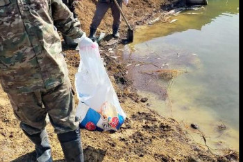 Фотография к новости: Массовый замор рыбы произошел в Костанайской области