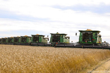 Фотография к новости: 40 млрд тенге выделено для поддержки зерновой отрасли Казахстана