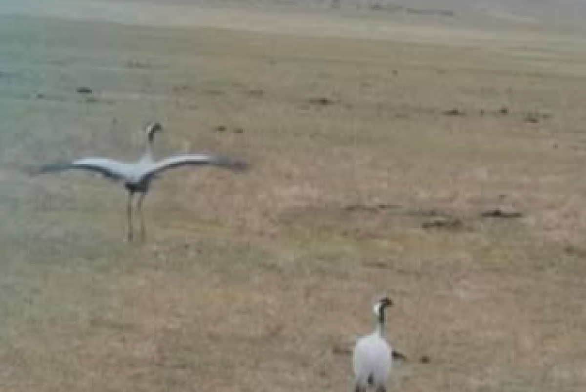  РГУ ГНПП «Көлсай көлдері»