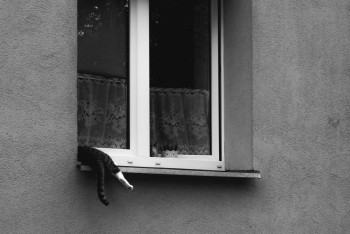 Фотография к новости: Опасная игра в Астане: дети передавали предметы через окно