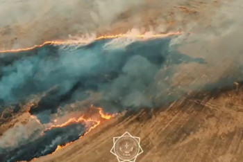 Фотография к новости: Крупный пожар в  пойме Иртыша: спасатели поделились эпичным видео