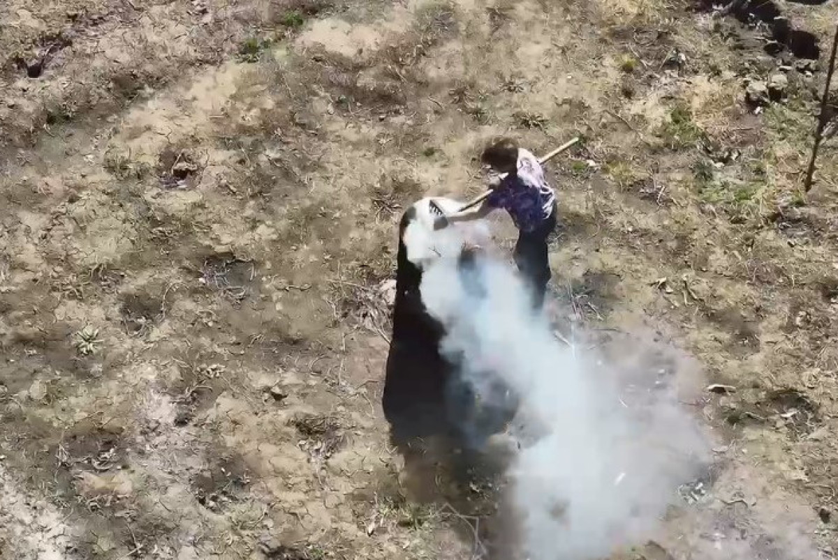  скриншот с видео МЧС