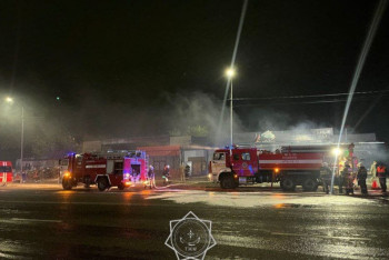 Фотография к новости: Пожар охватил магазин стройматериалов в Алматы