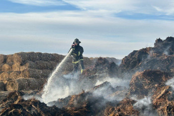 Фотография к новости: Запасы сена сгорели в СКО