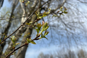 Фотография к новости: Теплая и солнечная погода ожидает казахстанцев