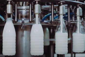 Фотография к новости: Прокуроры помогли запустить простаивающий молочный завод в Карагандинской области