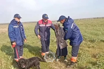 Фотография к новости: Пропавшую в Шымкенте бабушку нашли живой в степи
