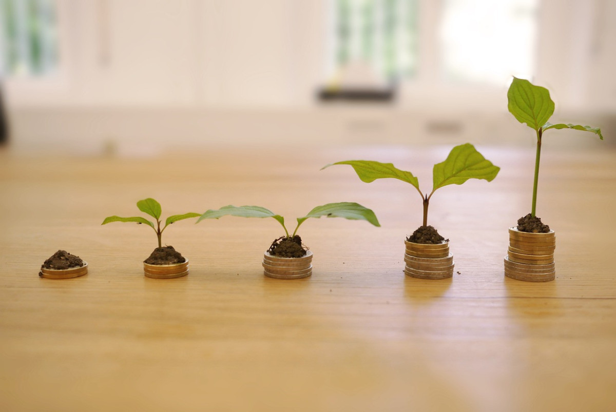  pixabay.com / иллюстративное фото