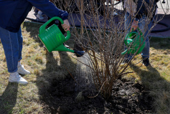 Фотография к новости: Таза Қазақстан: Общегородской субботник объявили в Астане