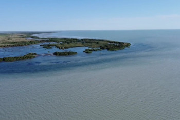 Фотография к новости: Французские эксперты помогут в сохранении озера Балхаш