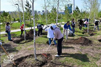 Фотография к новости: Саженцы, порядок и бот для жалоб: Правительство поддержало всеказахстанский субботник