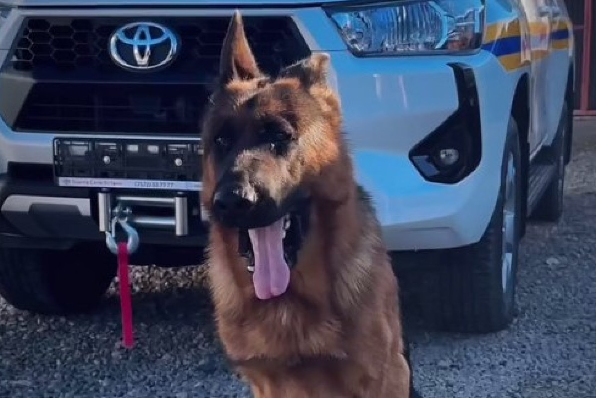  скриншот с видео