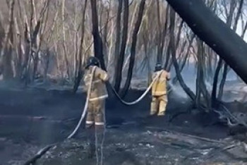 Фотография к новости: Крупный пожар в степи локализовали в Карагандинской области