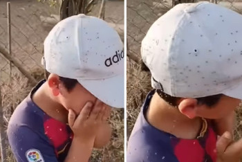 Фотография к новости: Дезинфекция провалилась? Ребенок попал под нашествие мошек в селе на юге Казахстана