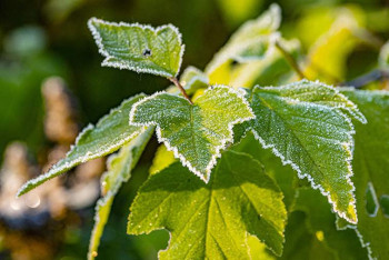 Фотография к новости: Резкое похолодание прогнозируется в Казахстане