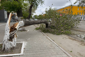 Фотография к новости: Продлится до самой ночи: Костанайская область переживает аномальный ураган