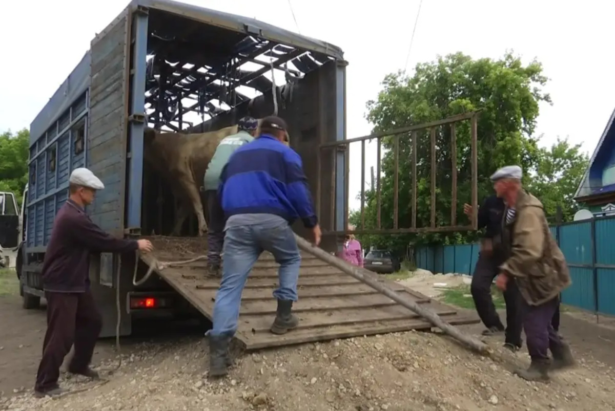  телеканал "Алматы"