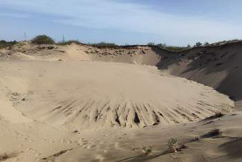 Фотография к новости: Песочные миллионы: Чем владели организаторы незаконной добычи песка в Семее