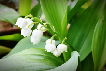 Фотография к новости: Май 2025 удивит казахстанцев перепадами температуры