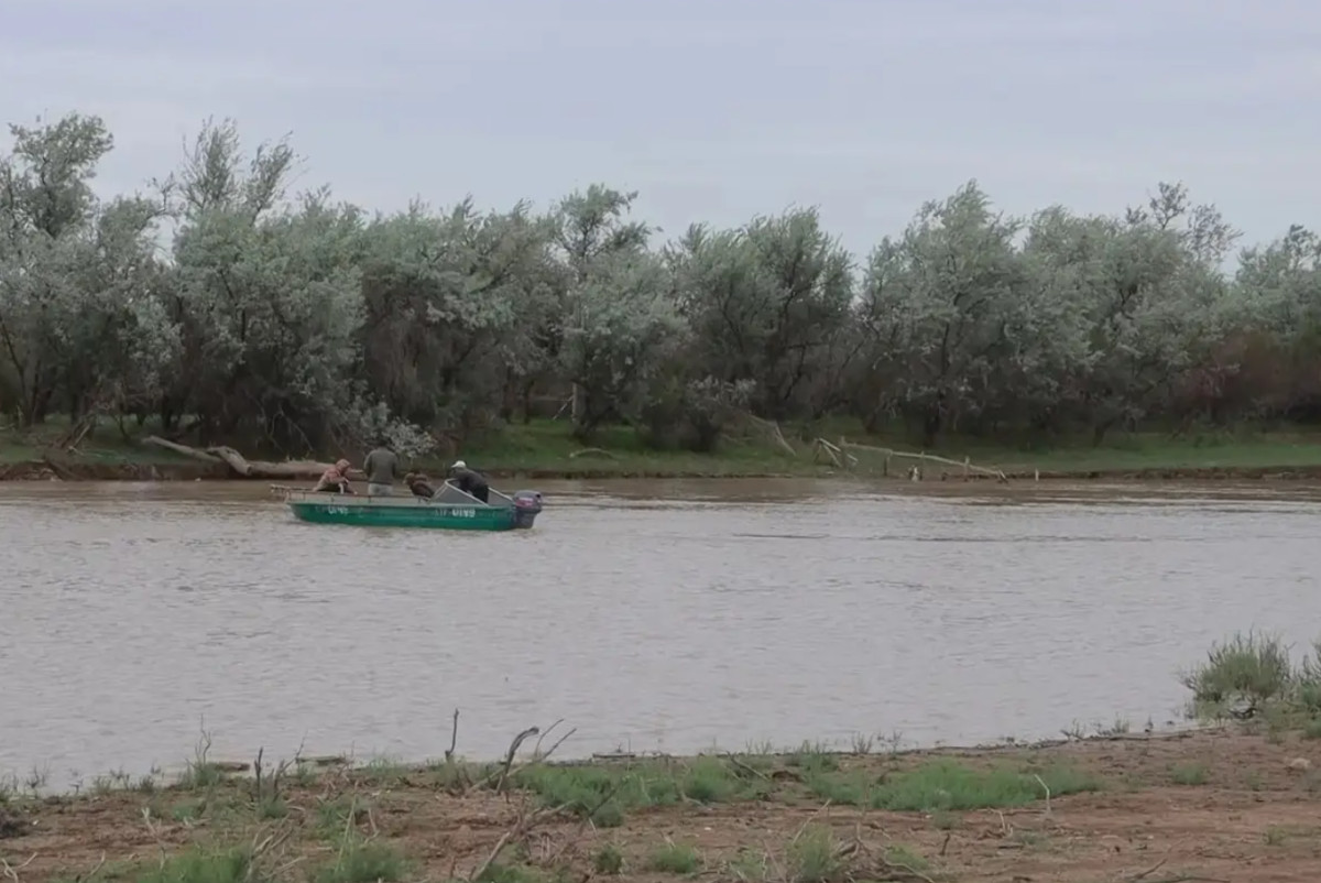  телеканал "Алматы"