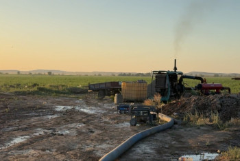 Фотография к новости: Из-за ранней жары поливной период на юге Казахстана начался на 25 дней раньше