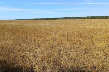 Фотография к новости: В Актюбинской области принудительно изъяли неосвоенные сельхозугодья