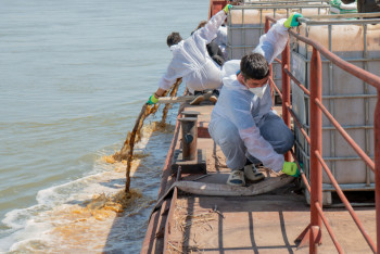 Фотография к новости: В Павлодарской области началась масштабная борьба с гнусом