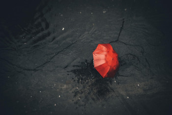 Фотография к новости: До трех градусов похолодает в Казахстане в ближайшие дни