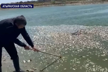 Фотография к новости: Рыба массово гибнет в Атырауской области