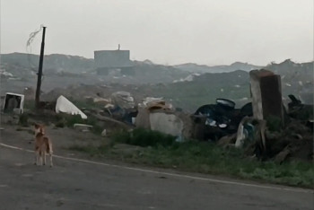 Фотография к новости: Жители Атбасара задыхаются от дыма: свалка горит больше месяца