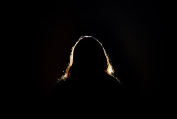 Фотография к новости: "Меня похитили и удерживали 10 дней": мать-одиночка просит Токаева о помощи