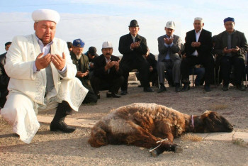 Фотография к новости: В Казахстане запустили сайт для онлайн-жертвоприношения на Курбан айт