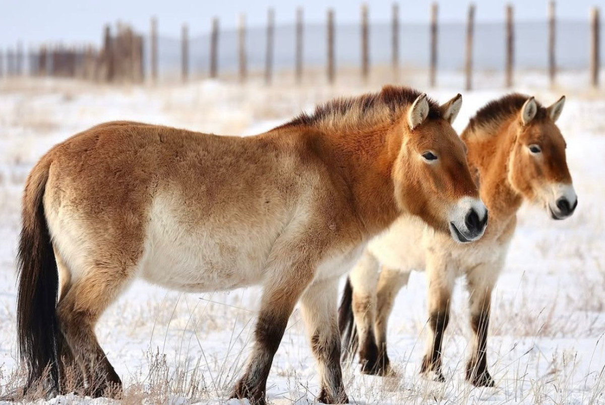  Instagram Альберта Салемгареева