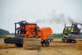 Фотография к новости: Директор агрохолдинга обманул банк на миллионы долларов